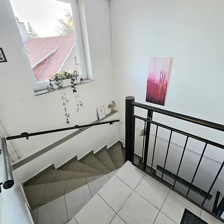 Lulu * Sopron