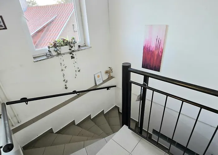 Lulu * Sopron